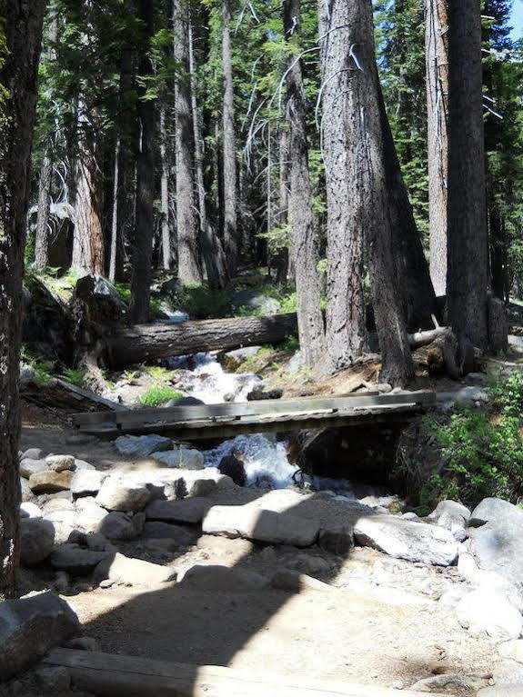 Stony Creek Lodge Sequoia National Park Zewnętrze zdjęcie