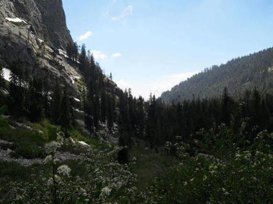Stony Creek Lodge Sequoia National Park Zewnętrze zdjęcie